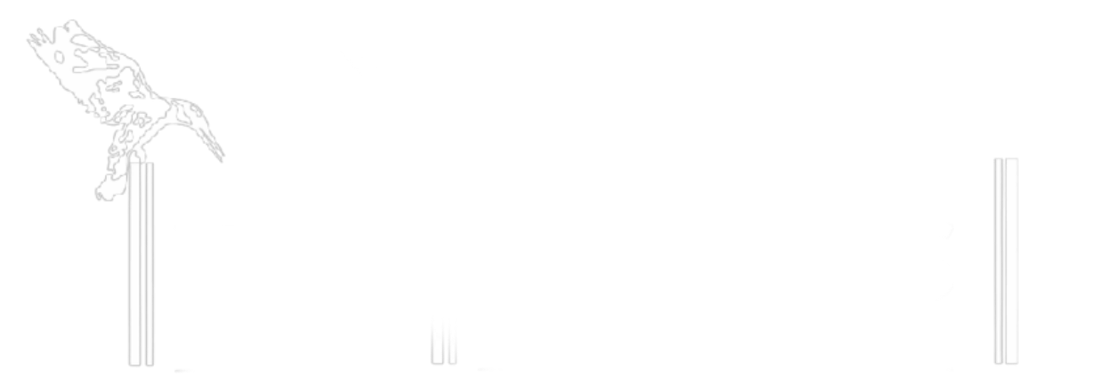 Witness Ethiopia tours Logo